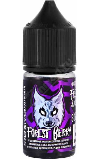 FREEZE BREEZE SALT - Forest Berry 30мл