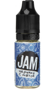JAM SALT - Черника с Мятой 10мл