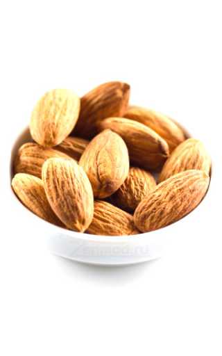 TPA - Toasted Almond 10мл