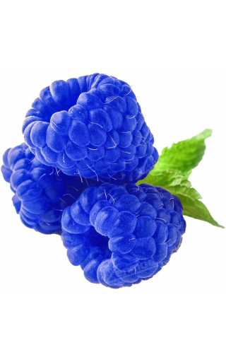 TPA - Blue Raspberry 10мл