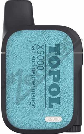 TOPOL X5000 - Пряный Манго и Соль